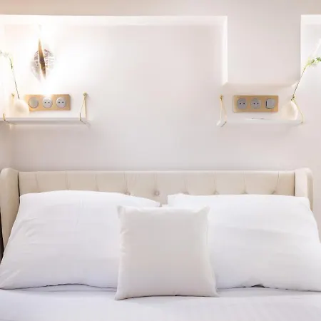 Magnifique 3 3 Sde Avec Clim Et Jacuzzi * Paris