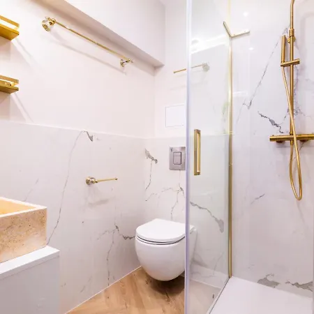 Magnifique 3 3 Sde Avec Clim Et Jacuzzi Paříž