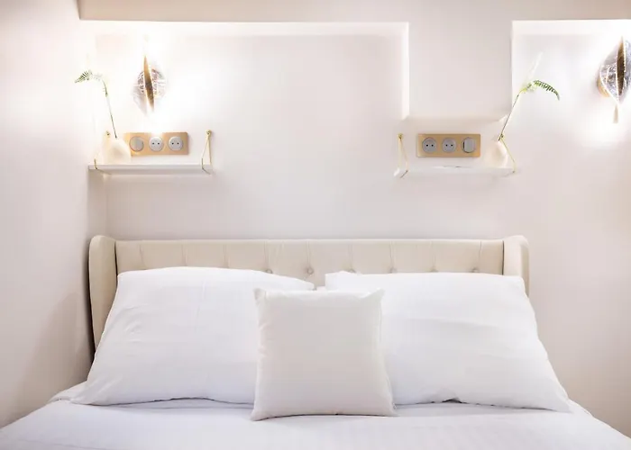 Magnifique 3 3 Sde Avec Clim Et Jacuzzi * Paris