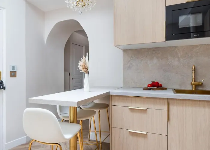 Apartment Magnifique 3 3 Sde Avec Clim Et Jacuzzi Paris